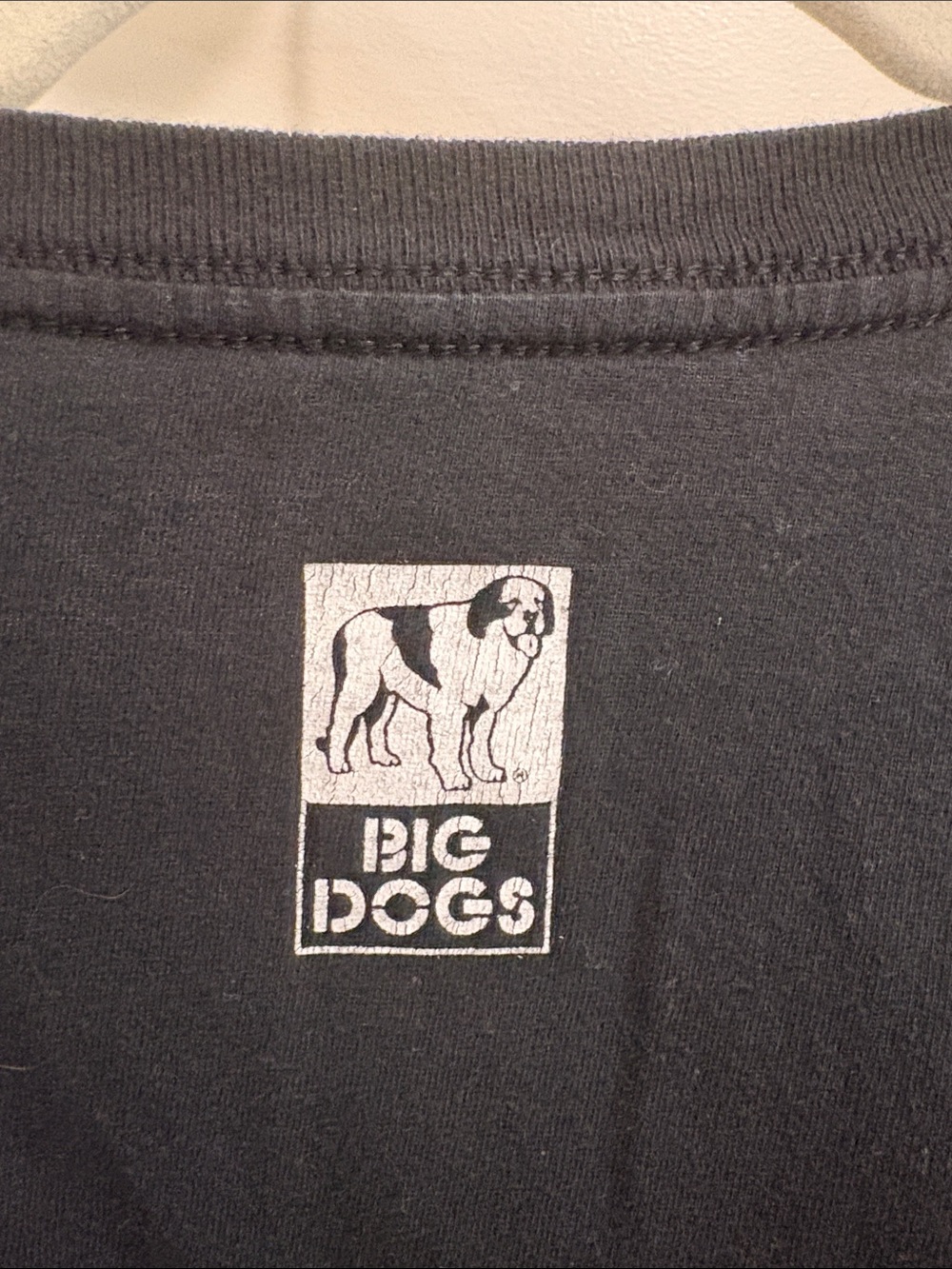 Big Dogs “Art Palette” Graphic Tee 🐶🎨 - Picture 8 of 11